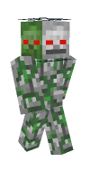 Skin preview