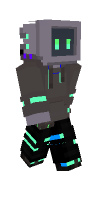 Skin preview