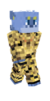 Skin preview