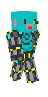Skin preview