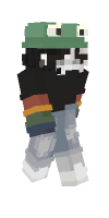 Skin preview