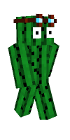 Skin preview