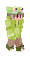 Skin preview