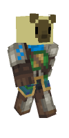 Skin preview