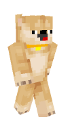 Skin preview