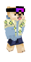 Skin preview