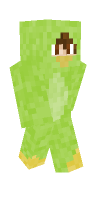 Skin preview