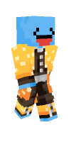 Skin preview