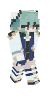 Skin preview