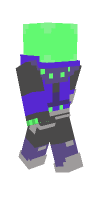 Skin preview