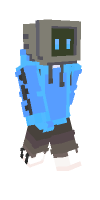 Skin preview