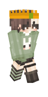 Skin preview
