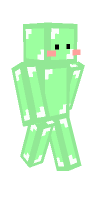 Skin preview
