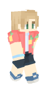 Skin preview