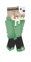 Skin preview