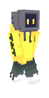 Skin preview