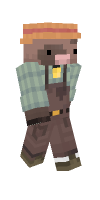 Skin preview