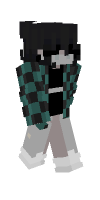 Skin preview