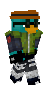 Skin preview