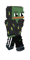 Skin preview