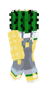 Skin preview