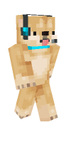 Skin preview