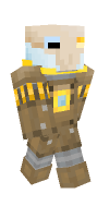 Skin preview