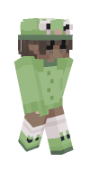 Skin preview