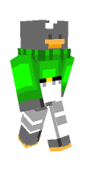 Skin preview