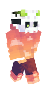 Skin preview
