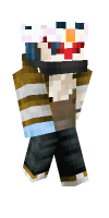 Skin preview