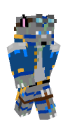 Skin preview