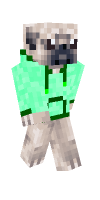 Skin preview