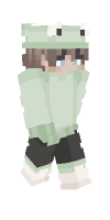 Skin preview