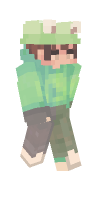 Skin preview
