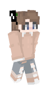 Skin preview