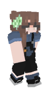 Skin preview