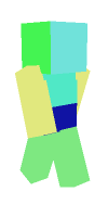 Skin preview