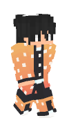 Skin preview