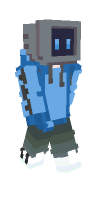 Skin preview