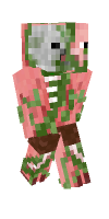 Skin preview