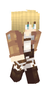 Skin preview