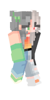 Skin preview