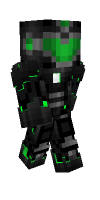 Skin preview