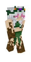 Skin preview