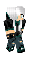 Skin preview