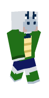 Skin preview