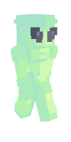 Skin preview