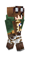 Skin preview