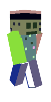 Skin preview